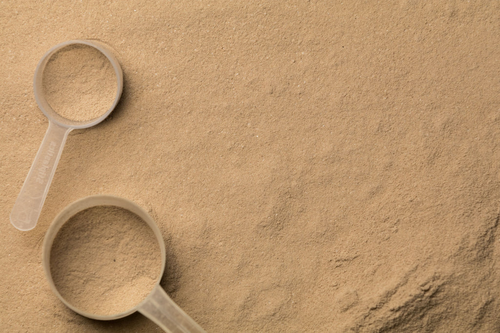 Does Protein Powder Expire Out of Date Expiration Vivo Life