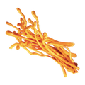 Cordyceps Sinensis CS-4