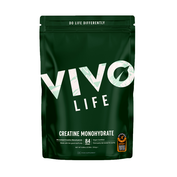 KT0221 ナチュラルグループ PMS-VIVOⅢ 波動転写器 波動共鳴活性化療法