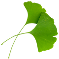 Ginkgo Biloba Extract (150 mg)