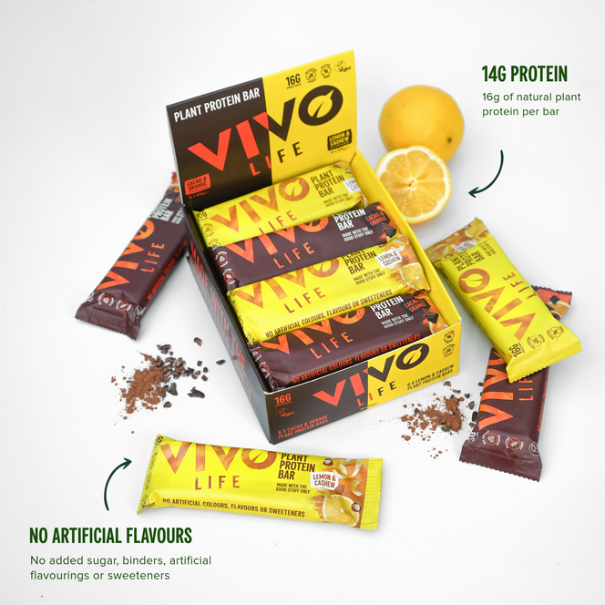 Plant Protein Bars