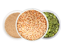 Plant Protein Blend