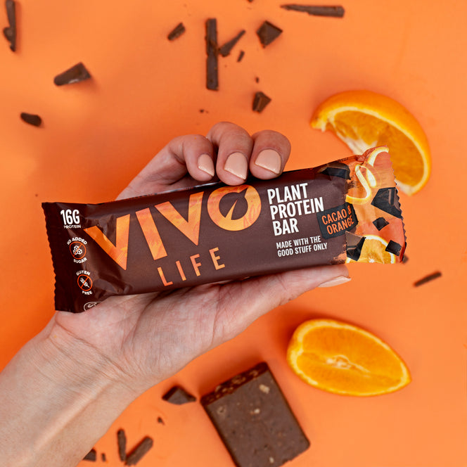 Plant Protein Bars
